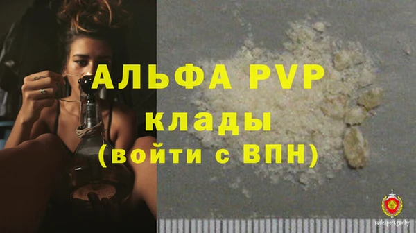 стаф Ельня