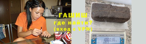 стаф Ельня