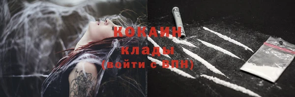 стаф Ельня