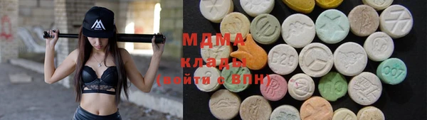 стаф Ельня