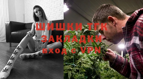 стаф Ельня