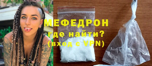 стаф Ельня