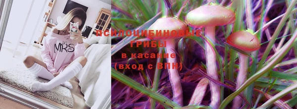 прущие крисы Саки