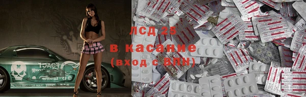 стаф Ельня