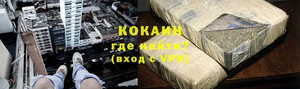 стаф Ельня