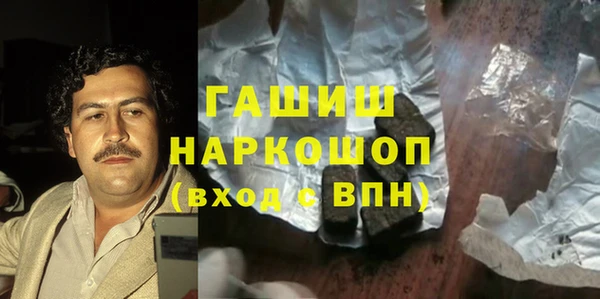 стаф Ельня