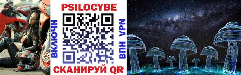 Псилоцибиновые грибы GOLDEN TEACHER  Среднеуральск 