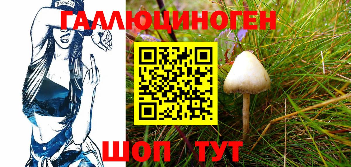 Псилоцибиновые грибы ЛСД Среднеуральск