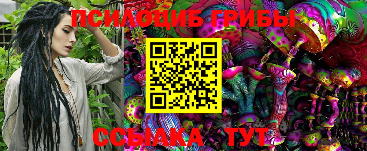 Галлюциногенные грибы Cubensis Среднеуральск